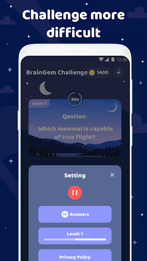 BrainGemChallenge Screenshot 3