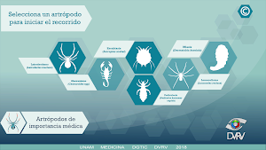 ArtromedUNAM Screenshot 2