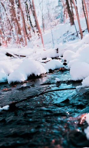 Snowfall HD Wallpapers Screenshot 1