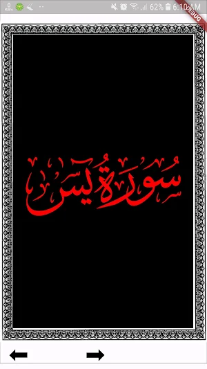 Surah Yaseen offline 2024 Screenshot 0