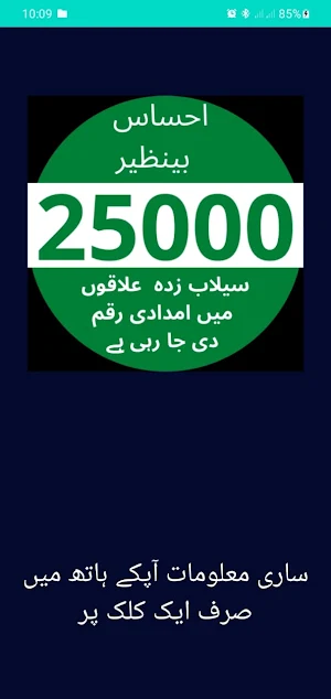 Ehsaas Imdad 25000 Register Screenshot 3