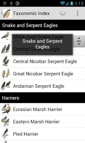 Birds of India Screenshot 1