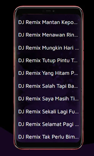 Lagu Dj Tiap Hari Bangka Dada Screenshot 3