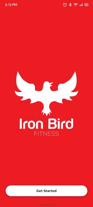 Iron Bird Fit Screenshot 0