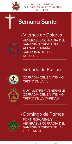 Cabildo Murcia Screenshot 1
