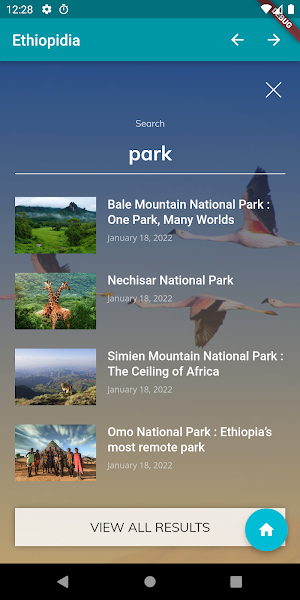 Ethiopidia Screenshot 3