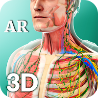 Ar Human Anatomy