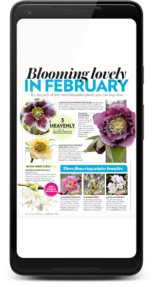 Modern Gardens Magazine Screenshot 2
