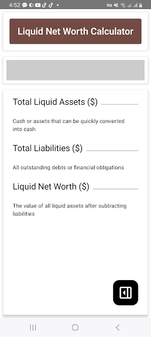 Liquid Net Worth Calculator Screenshot 1
