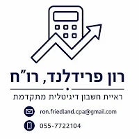 רון פרידלנד, רו"ח