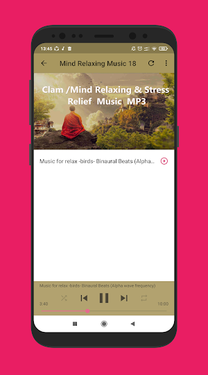 Mind Relaxing Music Sinhala Screenshot 3