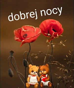 Dobranoc Obrazy Screenshot 2