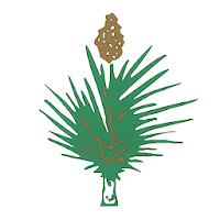 Golden Yacca® - natural vegan