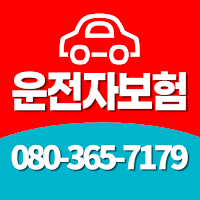 운전자보험비교사이트