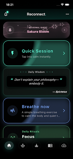 Reconnect. Screenshot 0