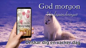 Swedish Good Morning Everyday Screenshot 3