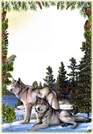 Animal Photo Frames Screenshot 0