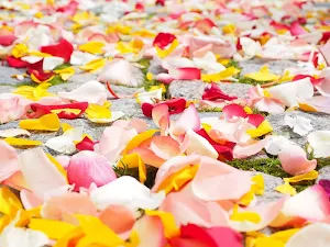 Wedding wallpapers Screenshot 1