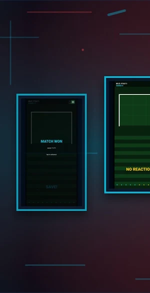Net Zone Defender Screenshot 2