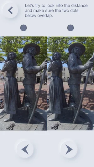 Stereogram Vision Training Screenshot 2