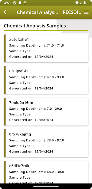 RECSOIL Screenshot 3