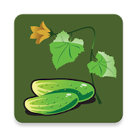 Vegetable Doctor