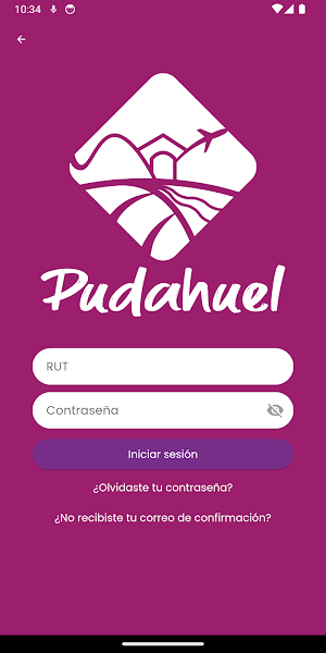 Soy Pudahuel Screenshot 1