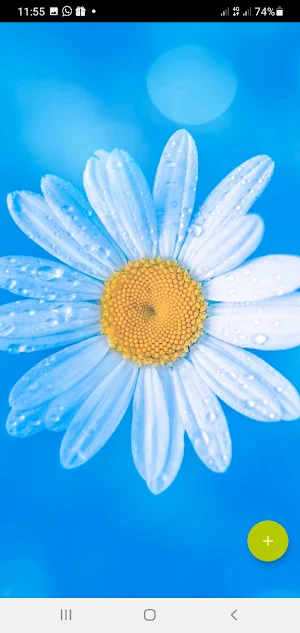 10000 Flowers Wallpapers Screenshot 3