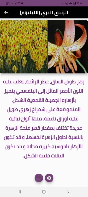 انواع الزهور Screenshot 1