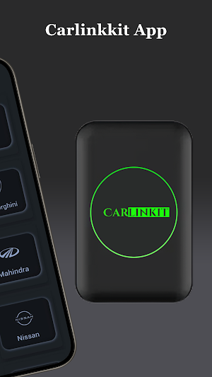 Carlinkit Screenshot 2