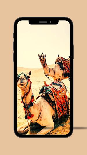 Camel Ringtone Screenshot 2