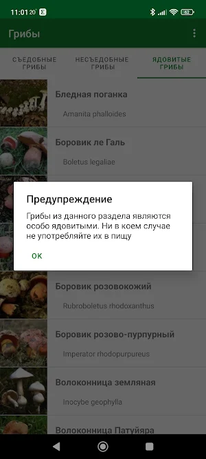 Mushrooms Screenshot 2
