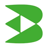 Bizvalley