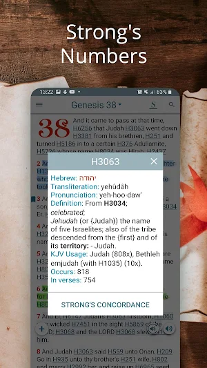Bible Concordance & Strongs Offline Screenshot 2