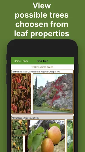 Forest Tree Identification Screenshot 2