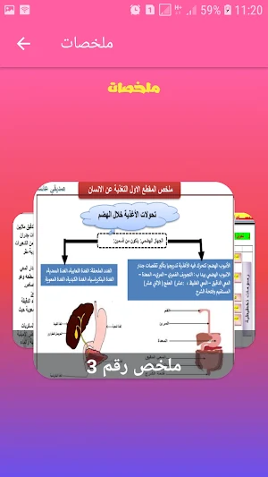 BEM 2021كل ما تحتاجه في العلوم Screenshot 3