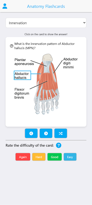 Anatomy Flashcards 2025 Screenshot 2