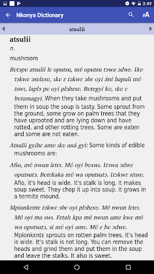 Nkonya Dictionary Screenshot 2