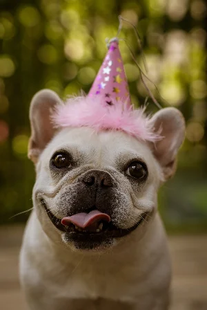 Birthday wallpapers 2022 Screenshot 1