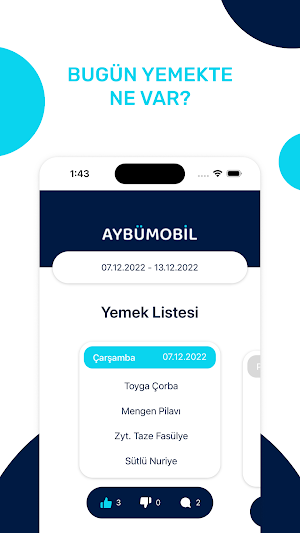 Aybü Mobile Screenshot 2