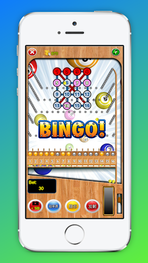 Night Market Bingo Pinball Bowling Bingo Screenshot 0