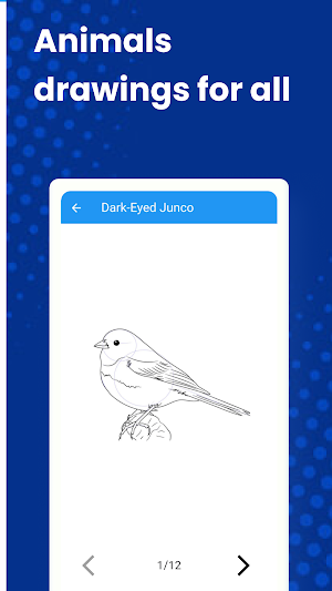 How to Draw Animals Screenshot 3