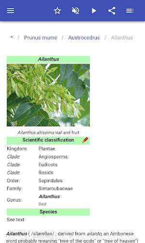 Ornamental trees Screenshot 3