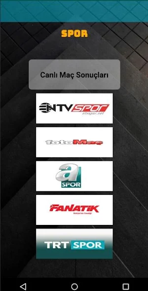 Hızlı Haber Screenshot 2