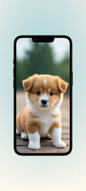 Anjing WalL Screenshot 2