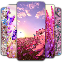 Spring Wallpaper 🌸