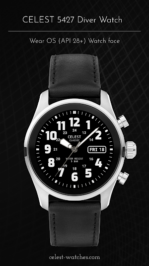 CELEST5427 Diver Watch Screenshot 1