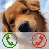 fake golden retriever call