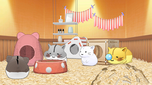 Hamster Life match and home Screenshot 0