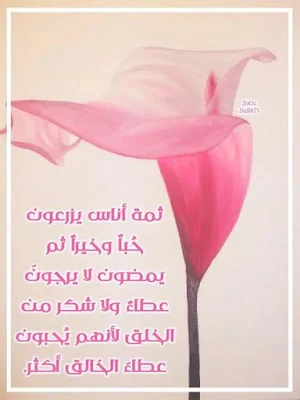 أجمل صور صباح الخير Screenshot 3